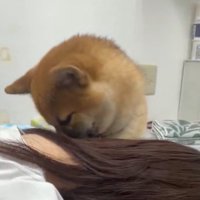 船