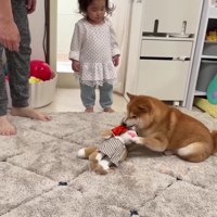 一緒に遊ぶことに