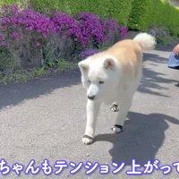 穏やかで優しい時間