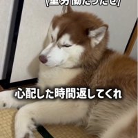 力尽きていただけだった