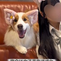 女子力高めだけれど…