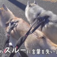 想定外のリアクションに絶句