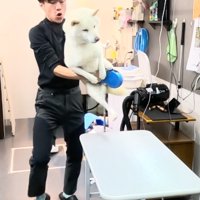 男性に抱っこされる犬