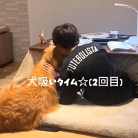 犬吸い2回目