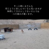 遠吠えする犬2