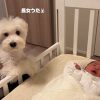 意外と平気そう♪