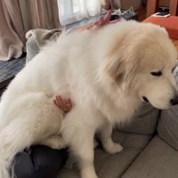 この日座っていた場所とは…