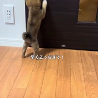 嬉しさが止まらない