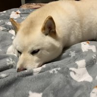 いそいそと布団の中へ♡