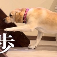 勇気を出して…
