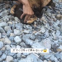 必死すぎて可愛い（笑）