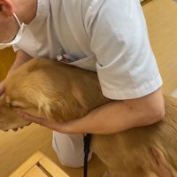 ちゃんと診察も受けました