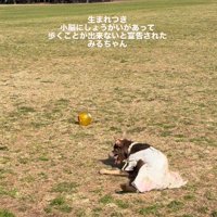 「歩くことは難しい」