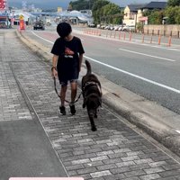 歩道で散歩する子どもと犬