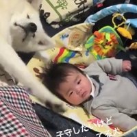 赤ちゃんがお昼寝