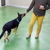 オヤツで仲直りする作戦