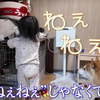 イタズラをひらめいた！？