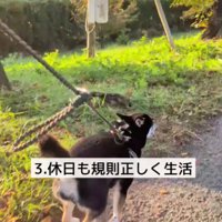 生活リズムも整った