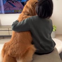 お兄ちゃんにくっつく大型犬