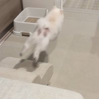 ぴょ～んっ