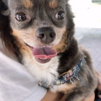 笑顔の毎日の最中