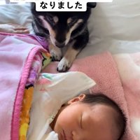 リコちゃんを見つめるミヤビちゃん