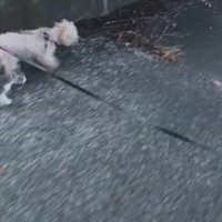 本当の家族になりました！！