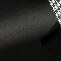 ふと見た足元にいたのは…？