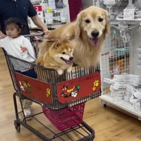 とっても楽しそう！！