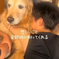 悲しみを吸い取ってくれる