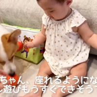 日向ぼっこの後は遊びの時間