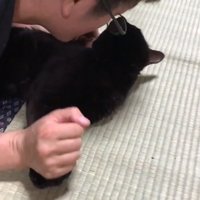 ももちゃんが目を離した隙に、パパさんが接近