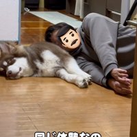 熟睡するふたり