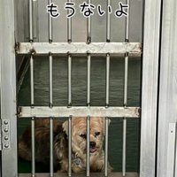 あのときはうつむいていたけど…