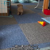 みらいちゃんが元気になるまで6