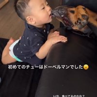 子供と大型犬