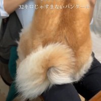 パパに甘えるはるノ嬢ちゃん
