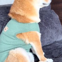 瞼が落ちてくる…