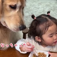 圧をかけるおからちゃん