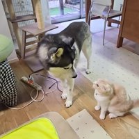 「どうして叩くの…」