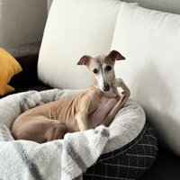 ずーっと見ちゃいます