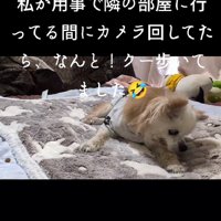 20才7ヶ月のクーちゃん