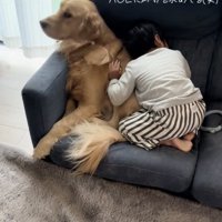 保育園に行きたくない男の子