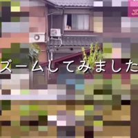 「誰か見てるよ」