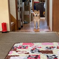 大人しくなりました