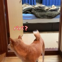必死に探す姿が愛おしい♡