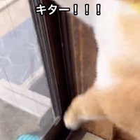 テンションは一気にMAX