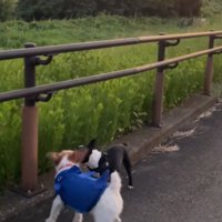 まだまだ続く…