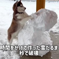 雪だるまを豪快に破壊