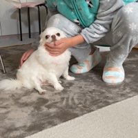 お姉ちゃんが起きると、少し元気に